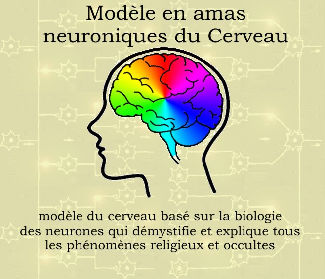 Neurocluster Brain Model