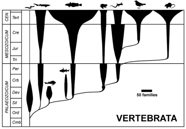 evolutionary tree