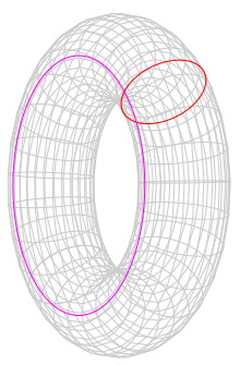 Torus
