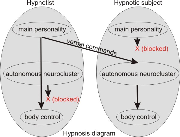 Hypnosis diagram