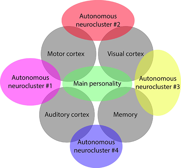 Neuroclusters