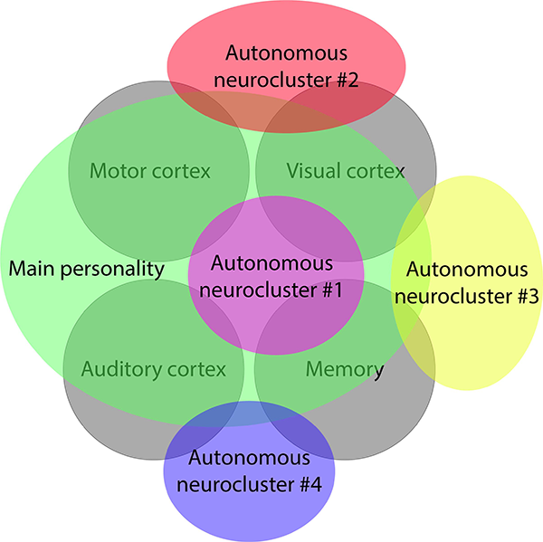 Neuroclusters