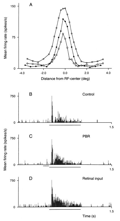 Effect of electrical PBR-stimulation on the spatial receptive field profile for an on-centre nonlagged Y-cell
