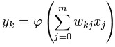 Neuron basic formula