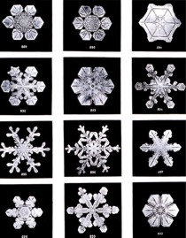 Снежинки на фотографиях Уилсона Бентли