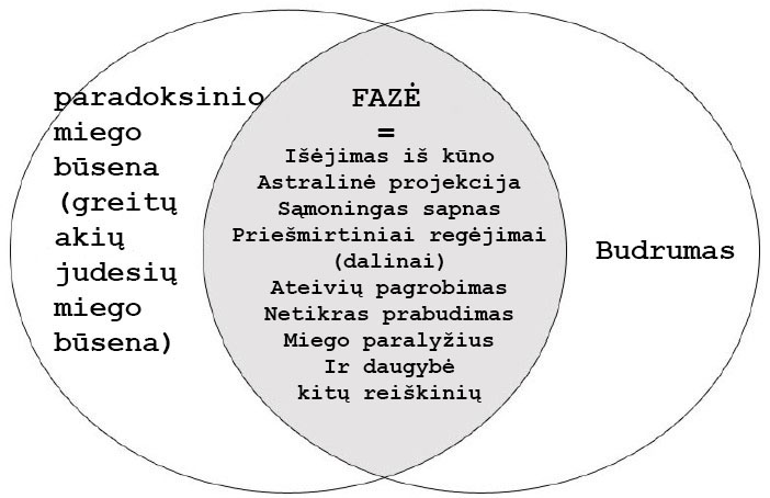 Fazė
