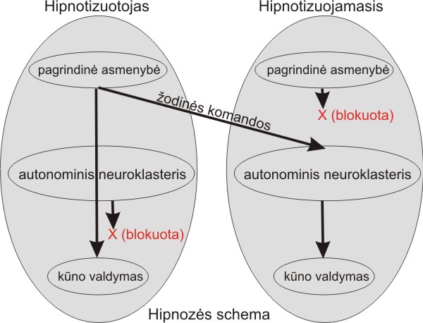 Hipnozės schema