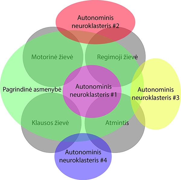 Neuroklasteriai