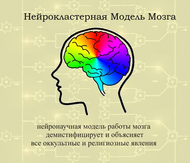 Нейрокластерная Модель Мозга